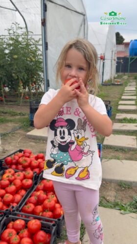 Legume proaspete vândute la hala Casa Share, ale căror venituri susțin proiectele pentru copii și familii.
